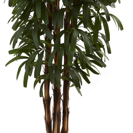 6ft. Potted Green Raphis Palm Tree